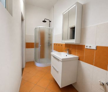 Pronájem bytu 1+1 45 m² - Fotografie 5
