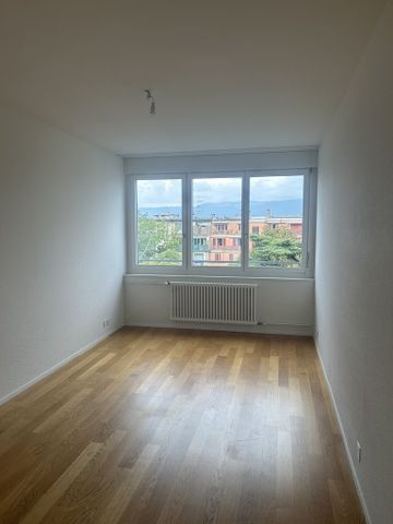 Malagnou - Champel - Appartement au 8ème étage en attique - Photo 4
