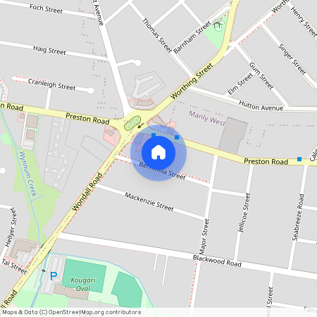 33 Berrimilla St, Qld 4179, Manly West
