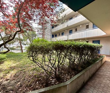 Appartement - 2 pièces - Jardin Lecoq/Facultés - Photo 6