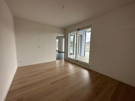 Modernes Attikawohnen – grosszügig, zentral und nah zur Badi - Photo 1