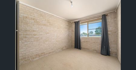 SUN-SOAKED HOBBY FARM - Photo 5