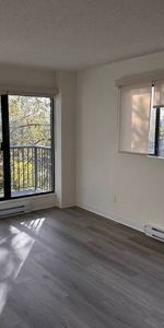 1-Bedroom Fully Renovated close to SkyTrain (Lougheed) - Photo 3