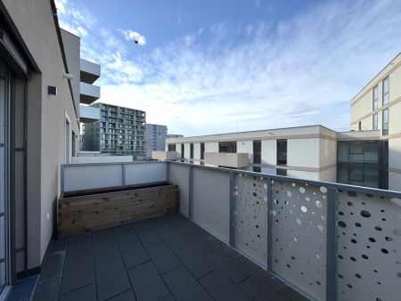 Gretls Garten – Miete mit Kaufoption – Erstbezug nahe Badeteich Hirschstetten - Photo 2