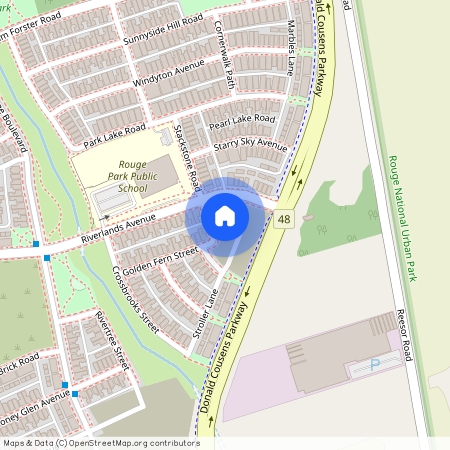 39 Golden Fern Street, Markham