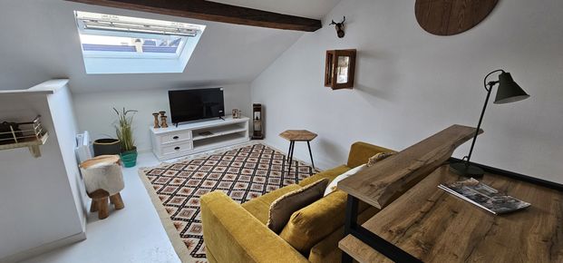 Location Appartement 1 pièce 50m² MULHOUSE 68100 - Photo 1