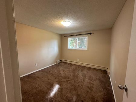 Beautiful Two Bedroom Basement Suite! - Photo 2