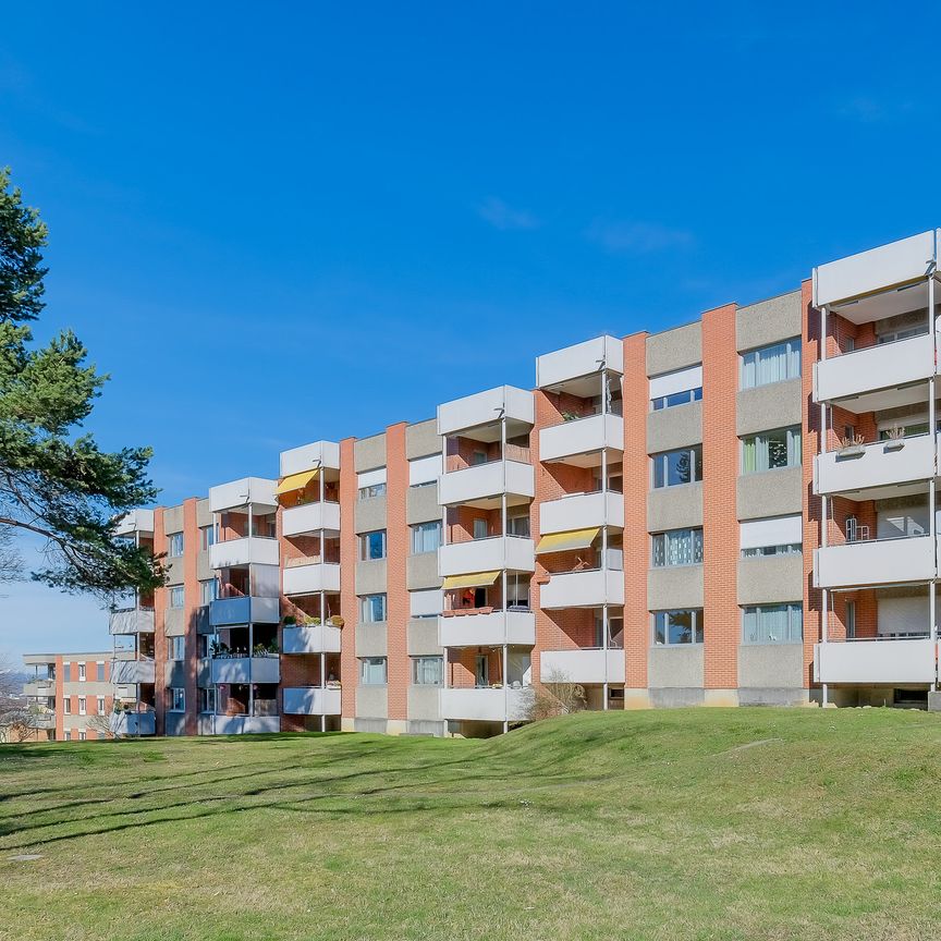 Ihr neues Zuhause an der Bollwerkstrasse 50 - Photo 1