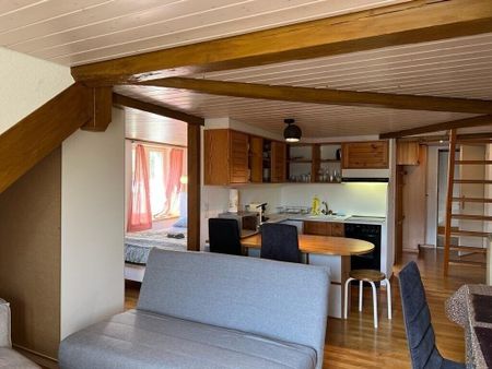 Charming furnished 3.5-room apartment in Langnau am Albis - Photo 3