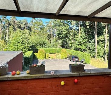 Appartement te huur in Zutendaal voor € 740 met 1 slaapkamer - Photo 3