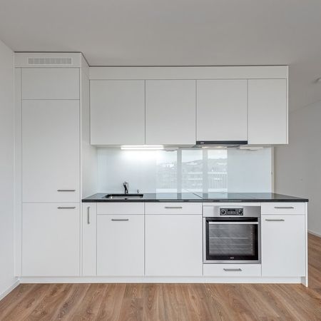 Wohnung nahe Altstetten Bahnhof - Stadt und Natur vereint - Photo 4