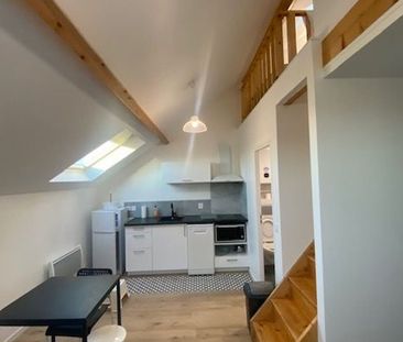 Appartement à louer 1 pièce • 22,63 m 2 Palaiseau - Photo 6