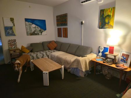 Preston - Photo 4