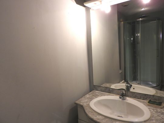 Appartement 41 m² - 1 pièce - Limoges (87000) - Photo 1