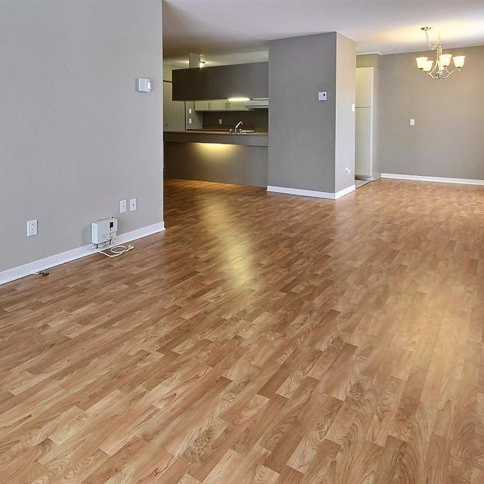 4 1/2 PAISIBLE, lumineux, rénové (LORETTEVILLE) - Photo 1