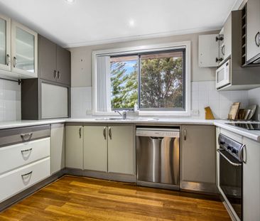 CLOSE TO EVERYTHING - Photo 2