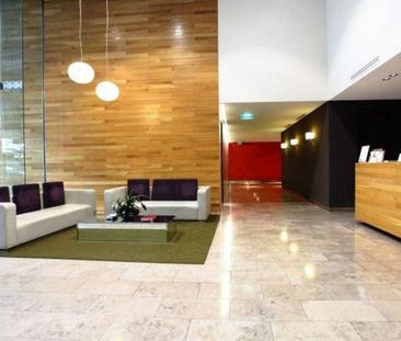 E409/599 Pacific Highway, St Leonards NSW 2065 - Apartment For Rent... - Photo 5