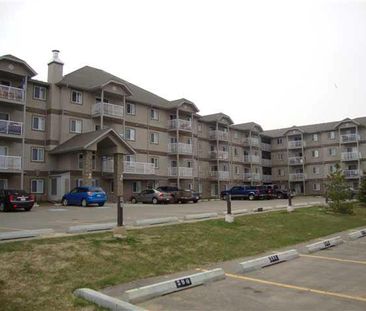 2 Bed Spacious Condo For Rent In Spruce Grove. Two Parking Stalls. - Photo 6