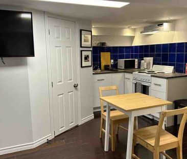 Huron Street - Photo 6