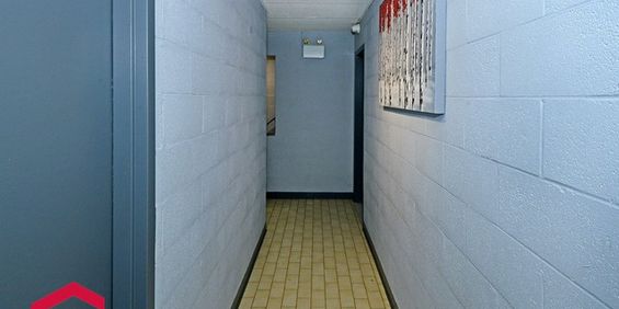 Appartement Saint-Polycarpe � Louer - Photo 3