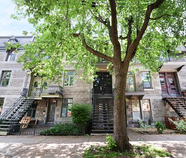 Condo for rent, Montréal (Le Plateau-Mont-Royal) - Photo 1