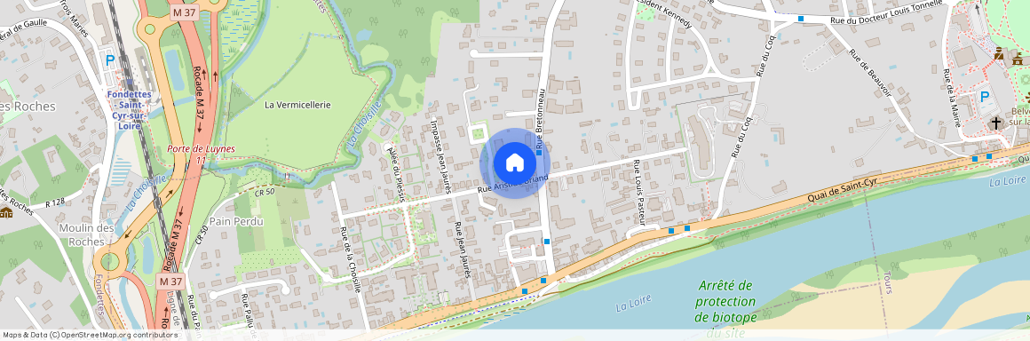 37540, Saint-Cyr-Sur-Loire