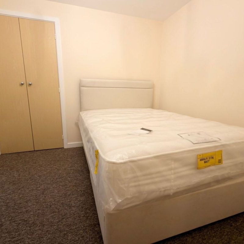 Orchid Drive - Photo 1