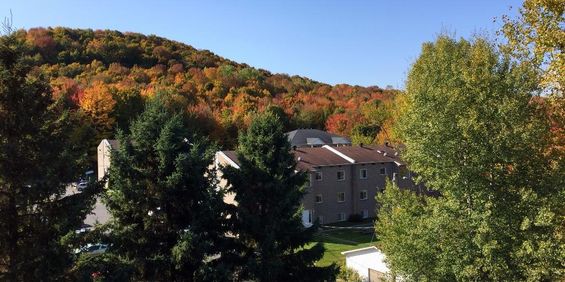 3 1/2 Bromont - Photo 3