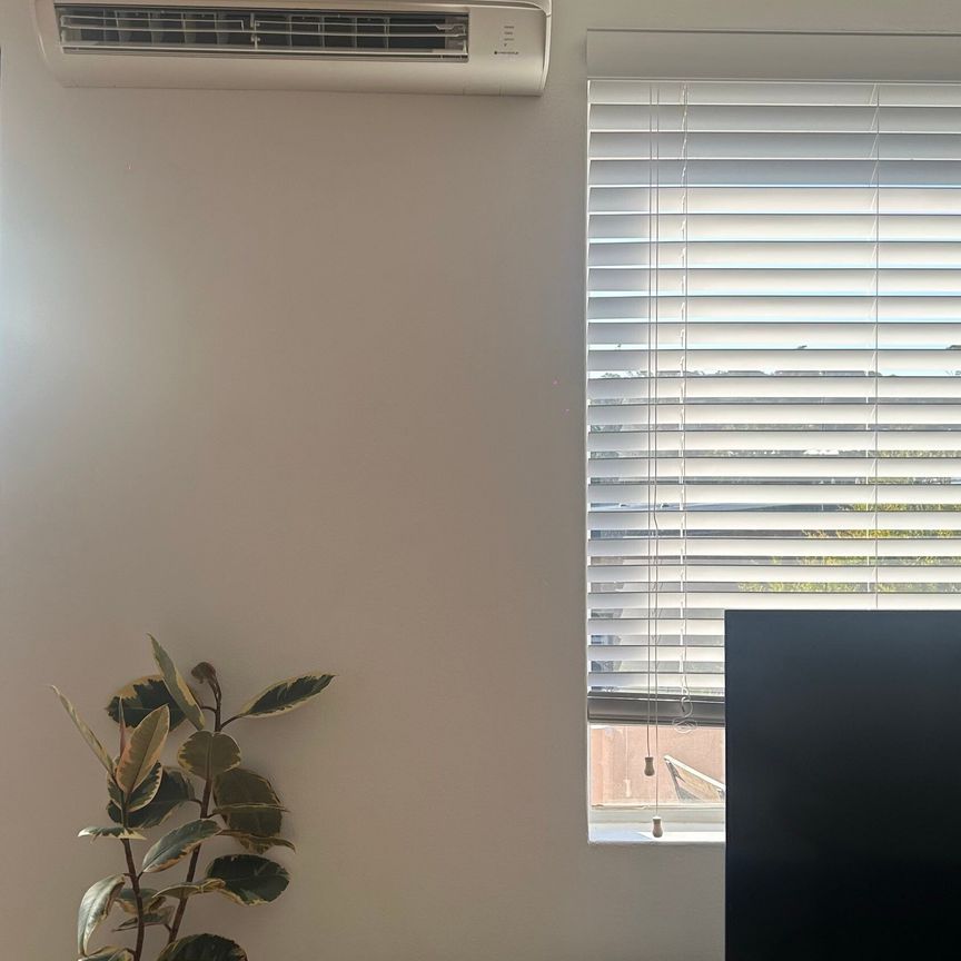 Manly Vale - Photo 1