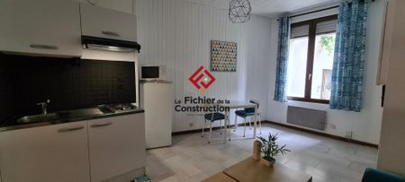 Location Appartement 1 pièce 24m² GRENOBLE 38000 - Photo 3