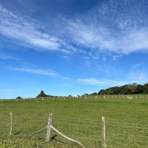 Dewlands Hill, Rotherfield - Photo 1