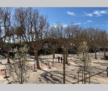 Location Appartement 1 pièce 26m² SANARY SUR MER 83110 - Photo 6