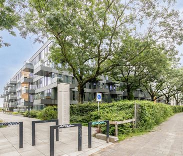 Grenenhout 8-013 - Foto 6