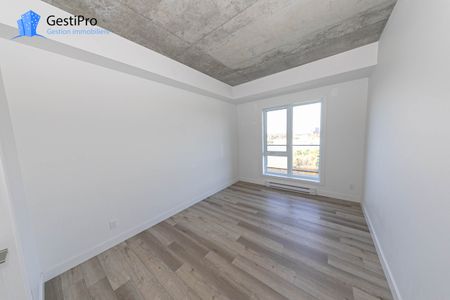 40 Cardinal Maurice-Roy – Le Lièvre - Photo 2