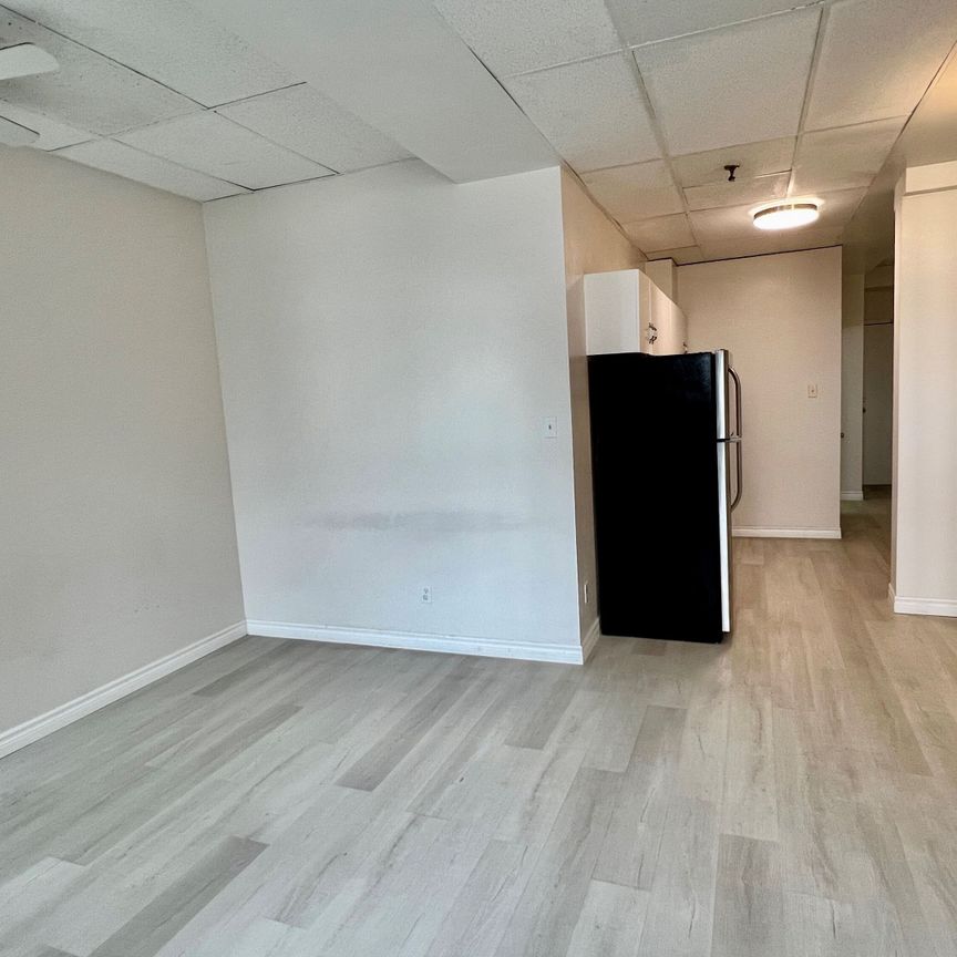 For Lease - 8 Main Street Unit# 202, Brampton, Ontario - Photo 1