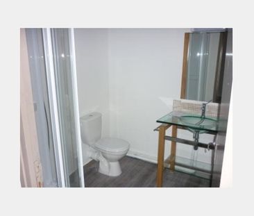 Location Appartement P1 Chevalier 4 Mende - Photo 4