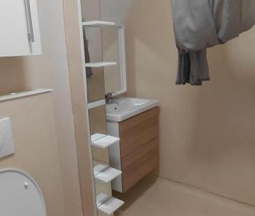 Location Appartement 1 pièce 24m² ANGERS 49100 - Photo 4