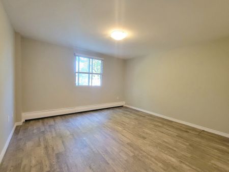 Sharon Garden Suites - ALL INCLUSIVE - Photo 4