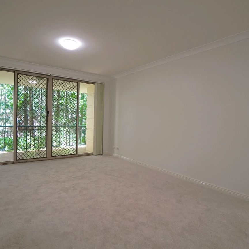 New Carpet, Freshly Painted Three Bedroom Apartment in Prime Location - Photo 1