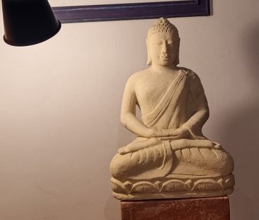 Surry Hills - Photo 2