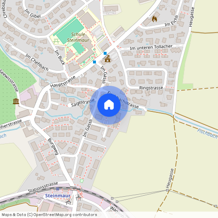 8162, Steinmaur, Im Winkel, 1