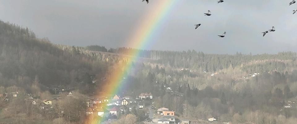 2 Raum Wohnung - Foto 1