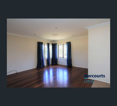 41 Barbigal Street, Stafford, Qld 4053 - Photo 5