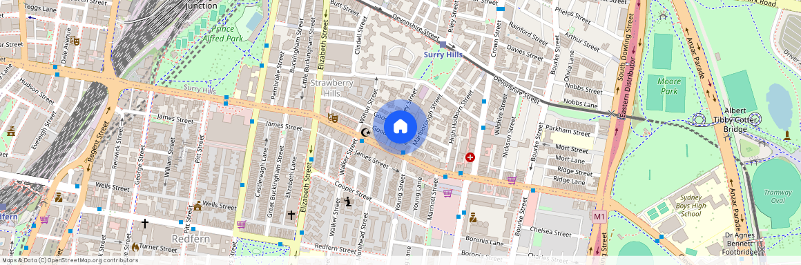 109 Goodlet Street, NSW 2010, Surry Hills