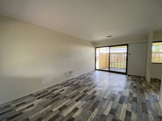 AITKENVALE CUTIE - Photo 1