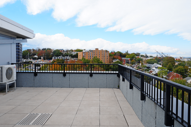 apartments at 3569 Dutch Village Road - Photo 1