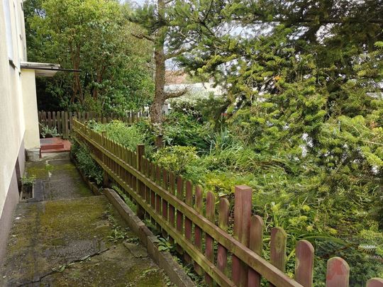 MIESZKANIE na WYNAJEM SZCZECIN (434696) - Photo 1