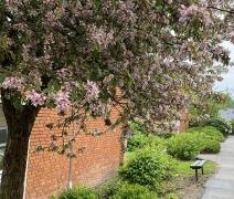 Villaparken 2 1.tv. 7800 Skive - Photo 4