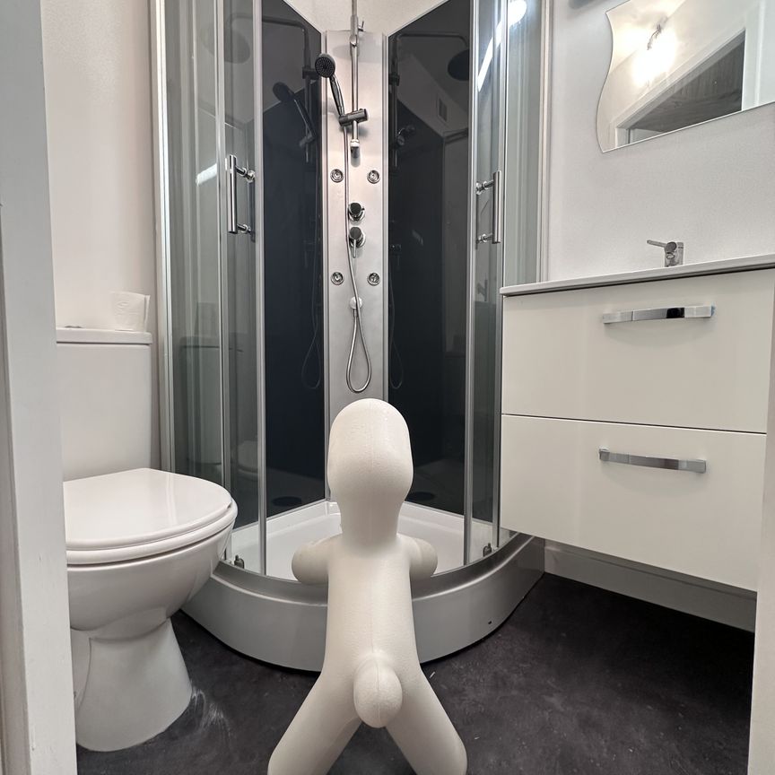 Location Appartement 1 pièce 12m² CLERMONT FERRAND 63000 - Photo 1