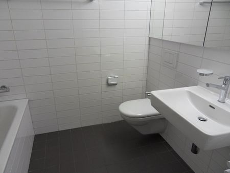 Zuhause im schönen Baselland! - Foto 5